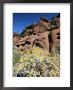 Desert Flora Beneath Camelback Mountain, Echo Canyon Recreation Area, Paradise Valley, Arizona by Ruth Tomlinson Limited Edition Print
