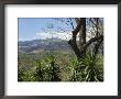 Rincon Volcano From The Hacienda Guachipelin, Guanacaste, Costa Rica by R H Productions Limited Edition Print