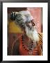 Portrait Of A Sadhu, A Holy Man, Jaipur, Rajasthan State, India by Gavin Hellier Limited Edition Pricing Art Print