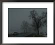 A Foggy Winter View Of A Car Driving Down Highway 11 by George F. Mobley Limited Edition Pricing Art Print