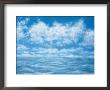 Clouds by Mark Hunt Limited Edition Print