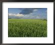 Wide Open Spaces Of The Saskatchewan Plains North Of Balcarres by Michael S. Lewis Limited Edition Print