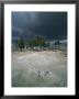 Mud Pots Area, Yellowstone National Park by Norbert Rosing Limited Edition Print