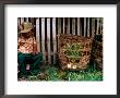Tired Boy With Baskets, Inle Lake, Myanmar (Burma) by Anthony Plummer Limited Edition Print
