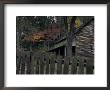 Tipton Place, Cades Cove, Great Smoky Mountains National Park, Tennessee, Usa by Joanne Wells Limited Edition Print