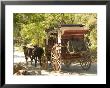 Wagon Tour, Gold Rush Era Park, Columbia State Historic Park, California, Usa by Walter Bibikow Limited Edition Print