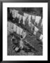 Mother Hanging Laundry Outdoors During Washday by Alfred Eisenstaedt Limited Edition Pricing Art Print