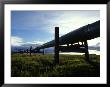 Alaska Pipeline On The North Slope by Michael S. Quinton Limited Edition Print