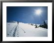 A Backcountry Skier On Yellow Mountain by Bill Hatcher Limited Edition Pricing Art Print