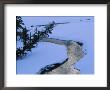 A Twilight View Of Baronette Creek Winding Through A Snowy Landscape by Raymond Gehman Limited Edition Print