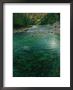 Sport Fisherman Fishing A Salmon River In The Fall by Paul Nicklen Limited Edition Print