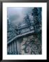 Heavy Fog Shrouds The Renaissance Stairway Of The Roman Catholic Bom Jesus Of Braga, Portugal by Jeffrey Becom Limited Edition Print