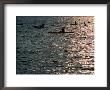 Group Kayaking Along River From Downtown Boathouse, New York City, New York, Usa by Angus Oborn Limited Edition Print