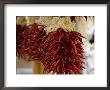 Bunches Of Colorful Chili Peppers Hanging In A Market by Gina Martin Limited Edition Print