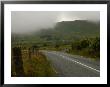 Ireland, Ring Of Kerry, Seagull by Keith Levit Limited Edition Print