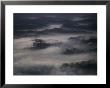 Fog Shrouds The Treetops In This Aerial View by Jodi Cobb Limited Edition Print