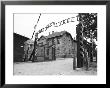 Entrance Gate With Hypocritcal In Work There Is Freedom Banner, Auschwitz, Poland by David Clapp Limited Edition Print
