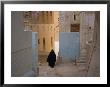 Shibam, Wadi Hadhramawt, Yemen by Peter Adams Limited Edition Print