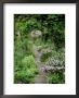 View Down Stone Path Beneath Rosa (Rose) Arch To Sundial, Armillary Sphere by Mark Bolton Limited Edition Print
