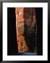 Canyoneering In Buckskin Gulch, Utah by Bill Hatcher Limited Edition Print