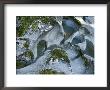 Rock Formation With Moss And Puddles Of Water by Todd Gipstein Limited Edition Print