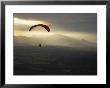 A Botanist Flies Over A Field In A Powered Paraglider by Jim Webb Limited Edition Print