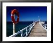 Life Buoy And Fishermen On Pier, Point Lonsdale, Australia by Dallas Stribley Limited Edition Print