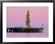 Sunset Framing A Christmas Tree On Stearns Wharf by Rich Reid Limited Edition Pricing Art Print