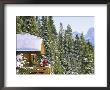 Skiers On Balcony Of Ski Lodge Prepare For Skiing by Mark Cosslett Limited Edition Print