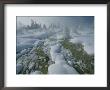 Winter Scene, Yellowstone National Park by Norbert Rosing Limited Edition Print
