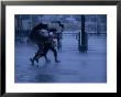 Typhoon Force 8 Hits Pedestrians In The Street, Kowloon, Hong Kong, China, by Phil Weymouth Limited Edition Print