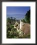 Thatched Cottages At Selworthy Green, With Exmoor Beyond, Somerset, England, United Kingdom by Chris Nicholson Limited Edition Print