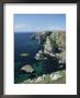 Elegug Stacks, Pembrokeshire, Wales, United Kingdom by Chris Nicholson Limited Edition Pricing Art Print