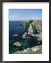 Elegug Stacks, Pembrokeshire, Wales, United Kingdom by Chris Nicholson Limited Edition Print