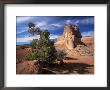 Sandstone Cliffs, Arches National Park, Moab, Utah, Usa by Lee Frost Limited Edition Print