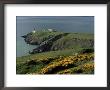 Howth Head Lighthouse, County Dublin, Eire (Republic Of Ireland) by G Richardson Limited Edition Print