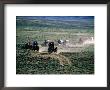 Dusty Horse Carriage Trek, Mormon Pioneer Wagon Train To Utah, Near South Pass, Wyoming by Holger Leue Limited Edition Print