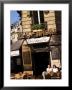 Corner Cafe In St. Germain, Paris, Ile-De-France, France by Glenn Beanland Limited Edition Print
