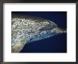 Head Profile Of Atlantic Spotted Dolphin, Gulf Of Mexico by Todd Pusser Limited Edition Print