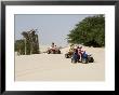 Tourists On Quad Motorbikes, Praia De Chaves (Chaves Beach), Boa Vista, Cape Verde Islands, Africa by R H Productions Limited Edition Print