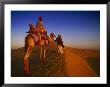 Man Atop Camel, Thar Desert, Rajasthan, India by Peter Adams Limited Edition Print