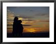 Sisters Silhouetted By Sunset by Angelo Cavalli Limited Edition Print