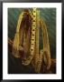 Three Restored Chains Drape A Branch by Sisse Brimberg Limited Edition Print