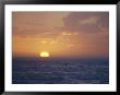 Kayaker Paddles In The Atlantic Ocean Off Of Cape Hatteras by Skip Brown Limited Edition Print