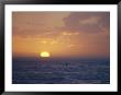 Kayaker Paddles In The Atlantic Ocean Off Of Cape Hatteras by Skip Brown Limited Edition Pricing Art Print