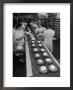 Cakes Being Frosted In A&P Plant by Herbert Gehr Limited Edition Pricing Art Print