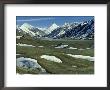 Patches Of Snow In Spring Thaw In Foothills Of Alaska Range, Alaska, Usa by Richard Packwood Limited Edition Print