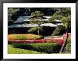 Azaleas At The Imperial Palace East Gardens, Tokyo, Japan by Nancy & Steve Ross Limited Edition Print