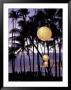 Palm Trees And Lanterns On Beach At Dusk, Big Island, Hawaii, Usa by John & Lisa Merrill Limited Edition Pricing Art Print