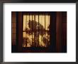 View Looking Through A Screen In A Japanese Inn by Sam Abell Limited Edition Pricing Art Print